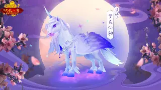 冒险岛老司机私藏：避坑指南，让你少走十年弯路！