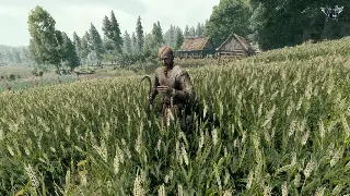 老玩家血泪教训！冒险岛升级打怪技巧分享，少走十年弯路！