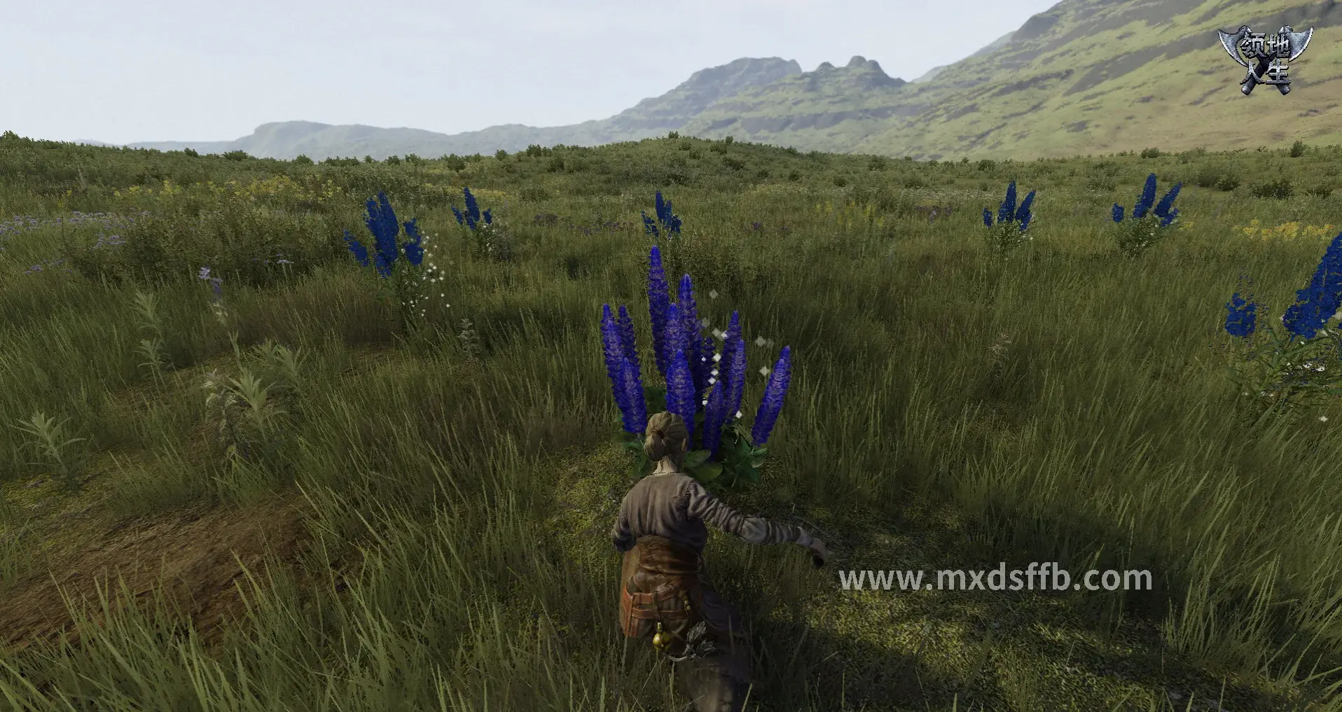 冒险岛资源管理