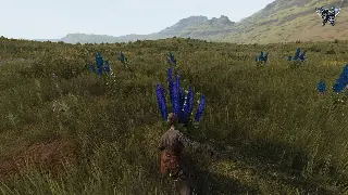 冒险岛资源致富经：白嫖党也能玩转枫之传说！